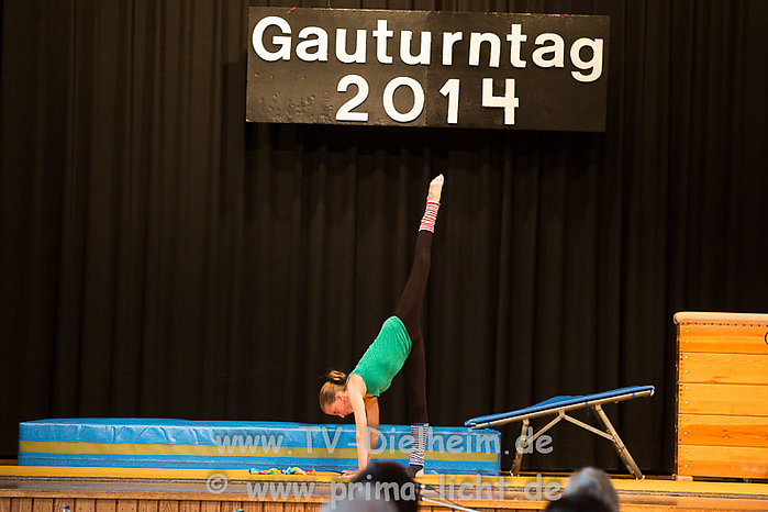 Gauturntag 096