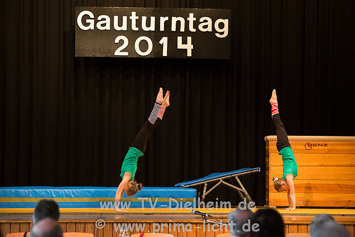 Gauturntag 101