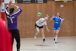 HB Diele Wiesloch 0035